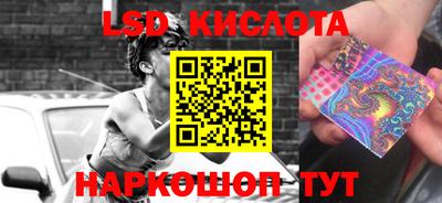 прущие грибы Северобайкальск